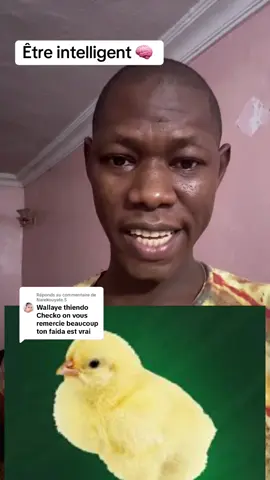 A post by @chekokafayida1 on TikTok caption: Réponse à @Narekouyate.5 