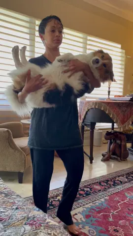 A post by @lizzza on TikTok caption: my sweet, flaccid Phoebe Waller-Bitch, everyone 