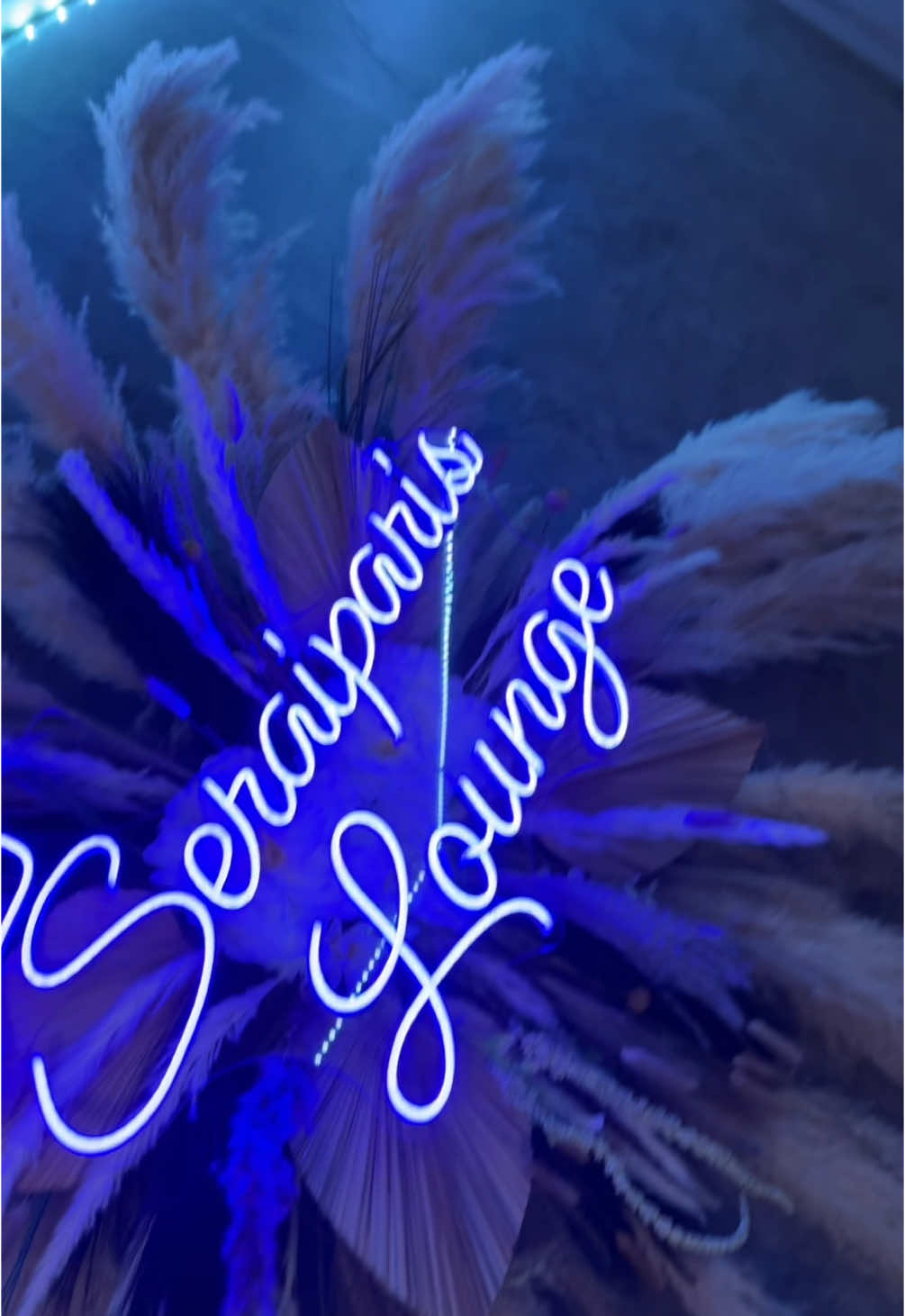 A post by @ on TikTok caption: I want to rate my experience an 10/10 she was so nice ❤️ and I will be back ! #chicago #lashextensions @Nail/Lash Cluster tech 🧚🏾 