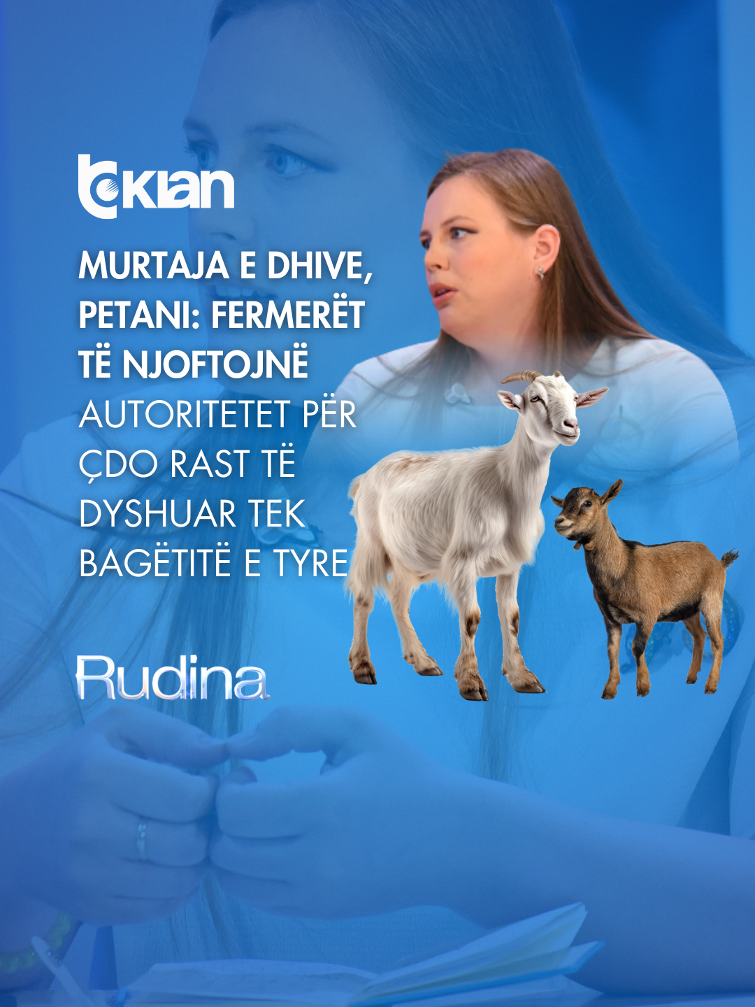 A post by @rtvklanofficial on TikTok caption: Murtaja e dhive, Petani: Fermerët të njoftojnë autoritetet për çdo rast të dyshuar tek bagëtitë e tyre Folëm këtë pjesë për një temë shqetësuese, janë konfirmuar në Shqipëri nga Autoriteti Kombëtar i Veterinarisë dhe Mbrojtjes së Bimëve, raste të Murtajës së Dhive. Rasti i parë ka qenë në Shkodër, ndërkohë ka pasur edhe në Dibër. Më shumë se 150 krerë janë eliminuar, ndërsa autoritetet po përpiqen të izolojnë dhe të kontrollojnë përhapjen e sëmundjes.  Videon e plotë e gjeni në kanalin e YouTube ▶️ RTV KLAN #TvKlan #RudinaMagjistari