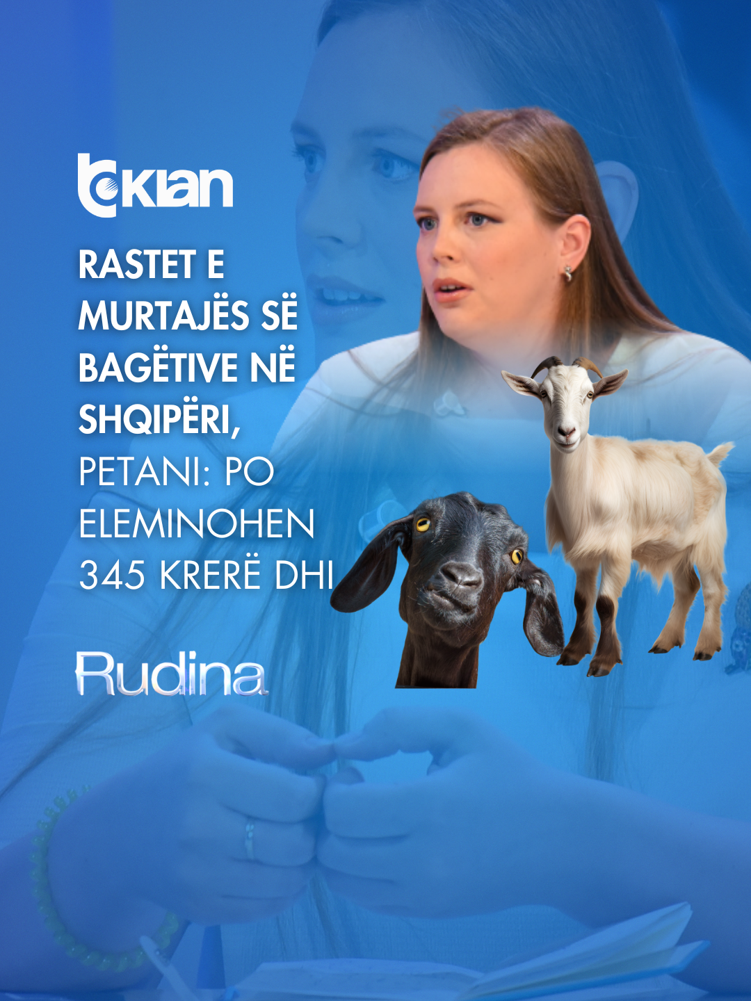 A post by @rtvklanofficial on TikTok caption: Rastet e murtajës së bagëtive në Shqipëri, Petani: Po eleminohen 345 krerë dhi Folëm këtë pjesë për një temë shqetësuese, janë konfirmuar në Shqipëri nga Autoriteti Kombëtar i Veterinarisë dhe Mbrojtjes së Bimëve, raste të Murtajës së Dhive. Rasti i parë ka qenë në Shkodër, ndërkohë ka pasur edhe në Dibër. Më shumë se 150 krerë janë eliminuar, ndërsa autoritetet po përpiqen të izolojnë dhe të kontrollojnë përhapjen e sëmundjes.  Videon e plotë e gjeni në kanalin e YouTube ▶️ RTV KLAN #TvKlan #RudinaMagjistari