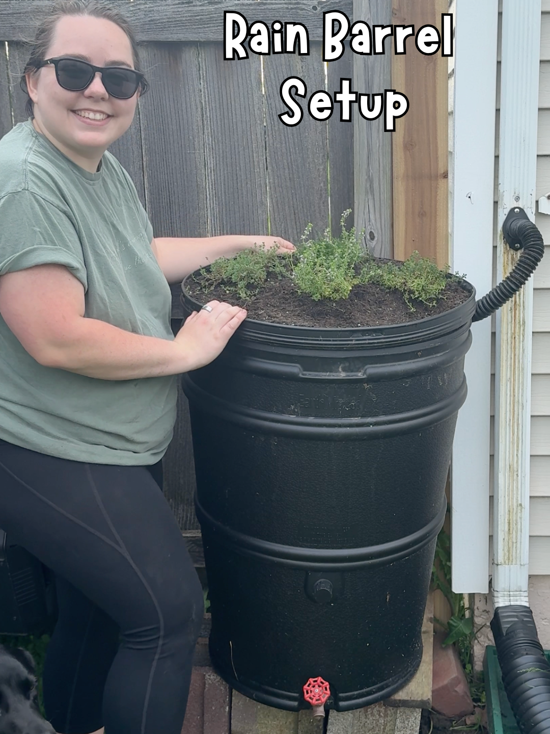 A post by @livingplanetfriendly on TikTok caption: Rain Barrels are LEGAL in all 50 states in some capacity—to find your specific state or local restrictions, search on your state, county, or town website. Rain barrels save me so much money every season with summer gardening.  The barrel I have is linked on benable!  #RainBarrel #Garden #GardenTok #RainWaterCollecting #Rain #Ecofriendly #Eco #LowWaste #ZeroWaste #Sustainable #Sustainability #Gardening #ConserveWater #WaterConservation