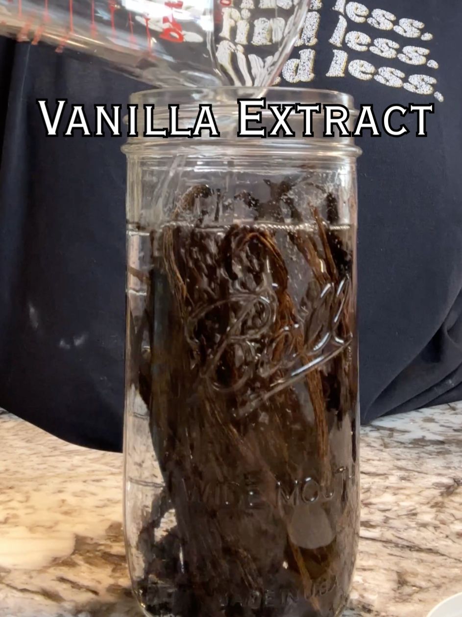 A post by @livingplanetfriendly on TikTok caption: Time to start that Homemade Vanilla Extract—for holiday gifts or for yourself, ready in December!  I use bean splits from @gneissspice, they are a cost effective alternative to full beans, so you can make a pint for less!   #LowWaste #ZeroWaste #Sustainable #Eco #Ecofriendly #Homemade #HomemadeVanilla #VanillaExtract #HomemadeVanillaExtract #GneissSpice