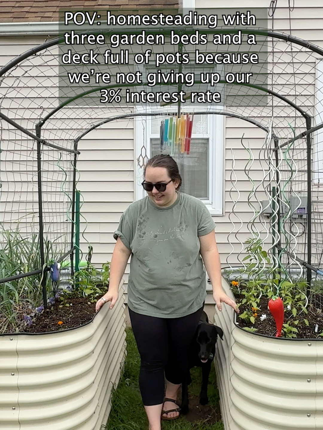 A post by @livingplanetfriendly on TikTok caption: Who needs acreage when you’ve got determination and a fixed mortgage rate? 🪴✨    Making the most of our tiny homestead—deck pots, raised beds, and all. We want to move soon, but taking advantage of that low rate for as long as possible!   Full Garden Tour & Planting Vlog is on YouTube!    #ContainerGardening #RaisedBedGarden #SmallSpaceGardening #UrbanHomesteading #DeckGarden #GrowYourOwnFood #EdibleGarden #GardenGoals #Zone6Gardening #BackyardGarden #GardeningOnABudget #FrugalGardener #GardenLife