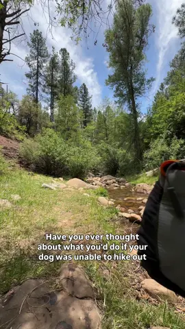 A post by @ruffweardogs on TikTok caption: ‼️ HIKING WITH DOGS? READ THIS! ‼️ The BackTrak Evac Kit is your essential emergency backup for the trails. It's built for the unexpected, so you and your dog can push your limits with confidence. If the unthinkable happens and your dog gets hurt, this kit could be the difference in getting them safely out. Be prepared, be confident. Thanks to @DanielleOutdoors🏜️🌵 for testing out our kit!  #ruffwear #dogemergency #hikingsafety #outdoordogs #musthavegear 