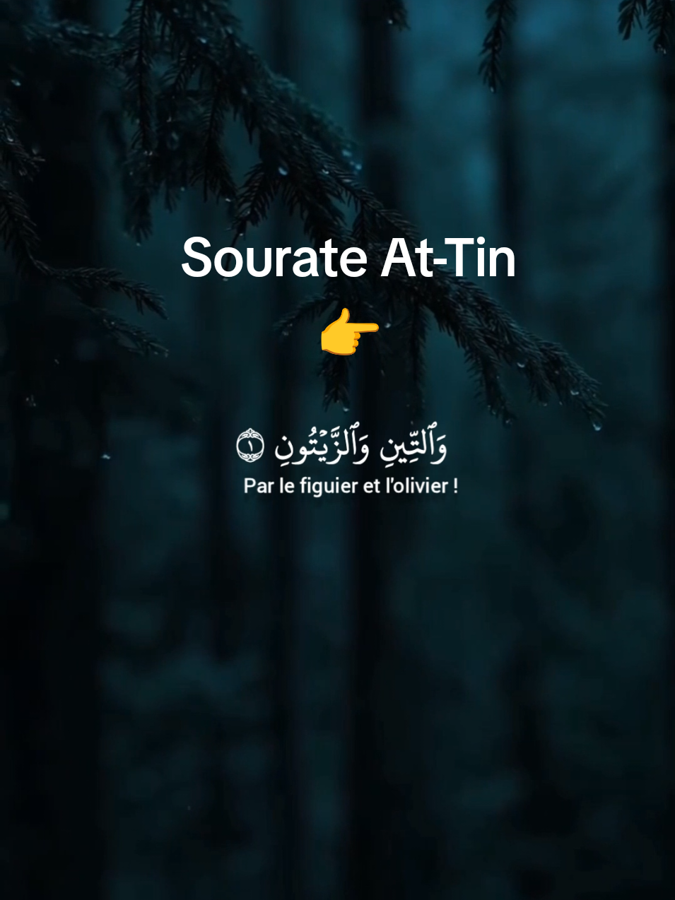 A post by @mohammedsanno on TikTok caption: Sourate At-Tin #sourate #verset #mâchaallah #recitation 
