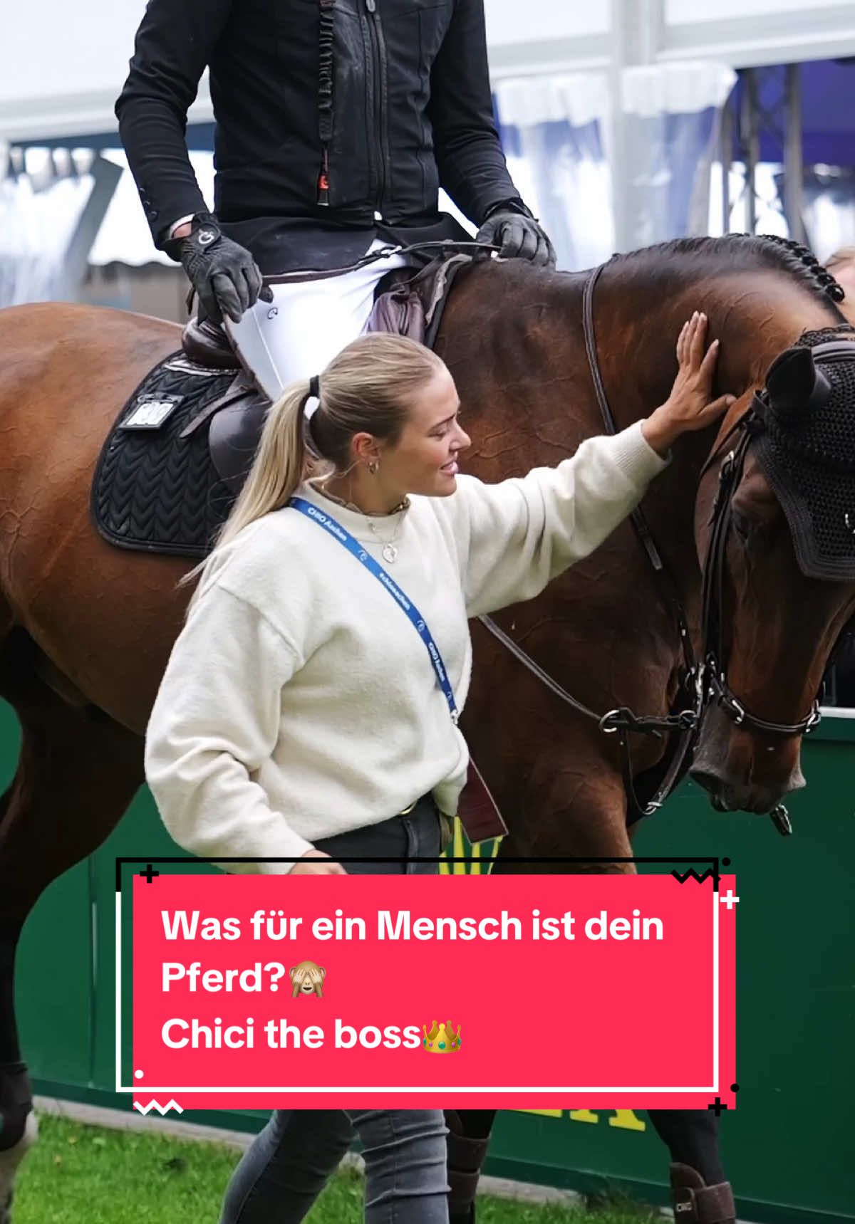 A post by @bellaxhorses on TikTok caption: Chici wäre einfach Boss, jeder hätte Respekt vor ihm👑🤣 #bellaxhorses #horseslover #showjumpinghorse #horsegirl #equestrianlife #newtrend #goviral #pferdeliebe #pferdemädchen #horsesoftiktoktok #equestrianlove 
