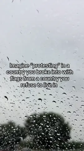A post by @xdylanmullins on TikTok caption: 😂smh deport em all!