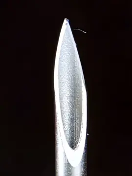 A post by @aviasales on TikTok caption: до конца