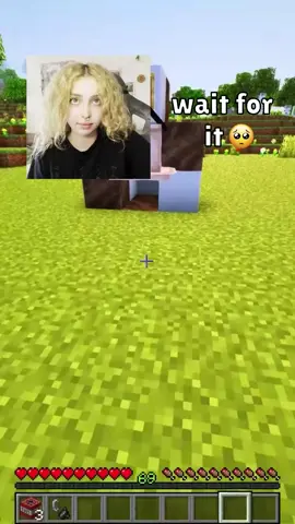A post by @lucky.maker on TikTok caption: House for Fruli Frula 🥺 #minecraft