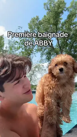 A post by @marcantoinedelage_ on TikTok caption: Première baignade pour mon bébé!!💦