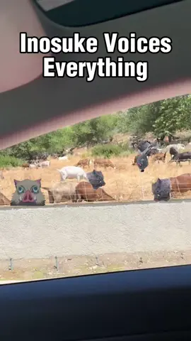 A post by @realbrycepapenbrook on TikTok caption: Inosuke Voices Everything... a bunch of goats 🐐