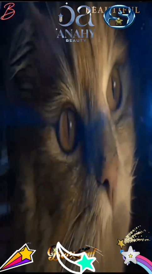 A post by @flashyflashsenkouzanshin on TikTok caption: Shooting star and Cute Cat BEYBLADE Xwith  Cute Cats and MARUTOMO CM OF Waiting for EMILY cat loves xg PRISM #マルトモ #CM #New2025 #cutecat #エミリーの瞳のキラメキが止められないよ #エミリーの猫 #エミリー #エミリーパリへ行く #EMILY #cutecat #猫 #猫ちゃん #猫のいる暮らし #2025年6月6日 #6月6日 #悪魔の日 #nomore #damian #omen #day #ダミアン #オーメン #猫ちゃんの日常 #HUNGEdman #Kitty #imusamaonepiece #imu #meowday #meow Cute Cat EARTH　from SPACE　　and  The earth seen from space looked like a  Dream . with Guardian of Galaxy loves kurtrussell Da SOLDIER　a　Long side Ending Scene plus Behind　post credit　Scene　de Deep IMPACT　&　Armageddon　#Armageddon #deepimpact #アルマゲドン #cuteCat #cat #space #galaxy #gairdiansofthegalaxy #mervel #multiverse #beyonder #SOLDIER #猫ちゃん #猫 #ILOVEYOU #Peace #world 　#junesix #savetheworld 