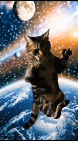 A post by @flashyflashsenkouzanshin on TikTok caption: #aespa_official #aespa BEYBLADE Xwith  Cute Cats and MARUTOMO CM OF Waiting for EMILY cat loves xg PRISM #マルトモ #CM #New2025 #cutecat #エミリーの瞳のキラメキが止められないよ #エミリーの猫 #エミリー #エミリーパリへ行く #EMILY #cutecat #猫 #猫ちゃん #猫のいる暮らし #2025年6月6日 #6月6日 #悪魔の日 #nomore #damian #omen #day #ダミアン #オーメン #猫ちゃんの日常 #HUNGEdman #Kitty #imusamaonepiece #imu #meowday #meow Cute Cat EARTH　from SPACE　　and  The earth seen from space looked like a  Dream . with Guardian of Galaxy loves kurtrussell Da SOLDIER　a　Long side Ending Scene plus Behind　post credit　Scene　de Deep IMPACT　&　Armageddon　#Armageddon #deepimpact #アルマゲドン #cuteCat #cat #space #galaxy #gairdiansofthegalaxy #mervel #multiverse #beyonder #SOLDIER #猫ちゃん #猫 #ILOVEYOU #Peace #world 　#junesix #savetheworld 