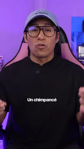 A post by @danielnoveloo on TikTok caption: Les voy a contar la historia de Travis el Chimpancé, esta historia siempre me deja realmente impresionado #telocuento #Danielnovelo Video completo en mi canal 🙂✌🏼