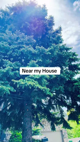 A post by @ on TikTok caption: #canada #foruou #foryoupage 