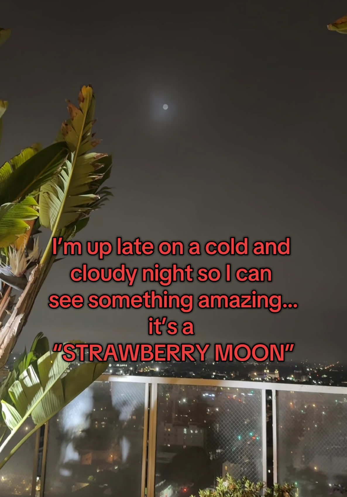 A post by @kittyfish.shop on TikTok caption: It is said that the strawberry moon symbolizes new beginnings 😌 did anyone else get to see it? 