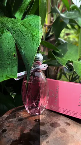 A post by @infinityofsteavkhaet on TikTok caption: ភ្លៀងចេញក្រៅផ្ទះមិនបាន😁🌱#nimnounkpc #cambodian #foryourpage #viral #funnyvideo #fyp #footage #behindthescenes 