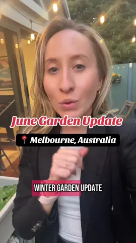 A post by @kia_urbangardener on TikTok caption: Balcony Garden Update - June Edition! 🪴👩‍🌾 Here are some of the vegetables & flowers I’m growing in Melbourne this Winter!  This just shows you can still grow food even if you’re in an apartment (as long as you have a little space and sunlight). What are you growing this season?  #garden #gardentok #gardeningtips #beginnergardener #growingvegetables #balconygarden #urbangarden 