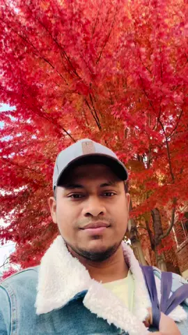 A post by @ on TikTok caption: #canada #foruou #foryoupage 