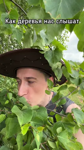 A post by @sidelnikovvv on TikTok