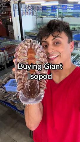 A post by @nick_kratka on TikTok caption: New Creature Unlocked 🔓 #seafood #seafoodlover 