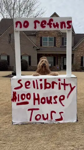 A post by @brodiethatdood on TikTok caption: Brodie had a fever dream… 🐻💭 @AGuyandAGolden @madmax_fluffyroad @adventuringwithnala #petfluencer #funnydogs #goldendoodle 