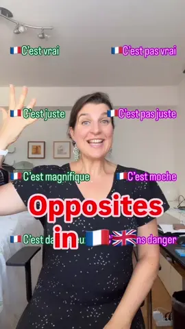 A post by @learnfrenchwithmaud on TikTok caption: Do u you know these sentences & contrary ?  C’est parti on y va 🙌😃👍 Which one is your favorite?  Comment below ⬇️  Do you want to learn even more French ?  ➡️Every Sunday an entire workshop with a long exclusive videos + subtitles + text & audio + Exercices &bonus 🥰  ➡️ Every Wednesday a podcast🎙️ Sign up here ⬇️ (direct link in Bio) https://learnfrenchwithmaud.substack.com 🇫🇷☺️😍🙌 Ecris, répète et à bientôt (Write Repeat and see you soon ) [learn French, French vocabulary , French language, basic French words, vocabulary, English words, easy learning languages]