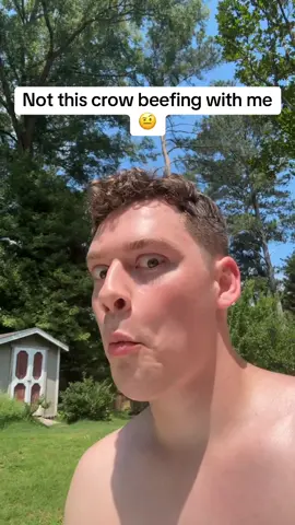 A post by @justinfukoo on TikTok caption: The crow vividly said “huh” like I was its son talking back to it 😂 #crow #beef #bird #drama #tea #funny 