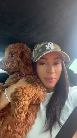 A post by @jordanrozich on TikTok caption: Imma be chilling with my crew 🐩 