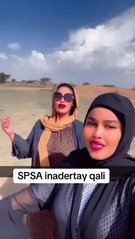 A post by @guleso4 on TikTok