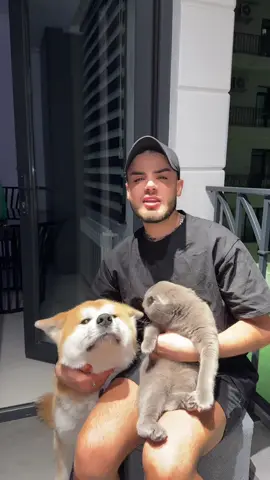 A post by @alex____alexis on TikTok caption: 😂😂😂😂😂😂😂😂😂