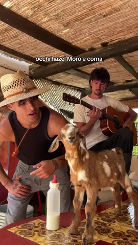 A post by @z4_pucho on TikTok caption: LA SUA FACCIA QUANDO HA SENTITO “FORNO”😭😭😭