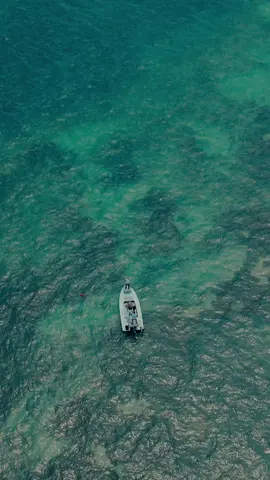 A post by @flylords on TikTok caption: Tarpon Tip #2- The Double Haul ~ Line speed is everything when casting at one of the trickiest fish on the planet. Andy gives us his insight on being able to achieve quick and accurate presentations to fast moving silver targets. ~ Head over to the FLYLORDSMAG.COM] to learn Andy’s top 7 Tarpon Tips. ~ #Flylords #BuiltForTheWild #MillhousePodcast #FlyFishing #Tarpon