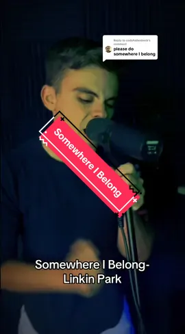 A post by @dakota_butler on TikTok caption: Replying to @codyhallenbeck heee ya go 🤘 #linkinpark #alt #fyp #foryou #vocalist #numetal #linkinparkfan #alternative #numetaltiktok #cover #linkinparksoldier #2000s #chesterbennington 