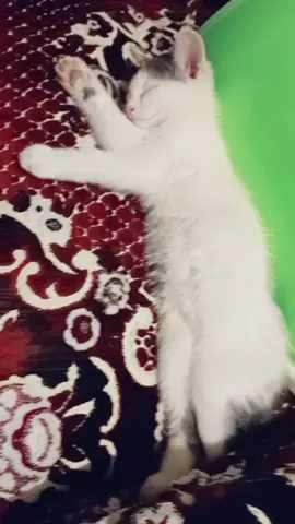 A post by @pozitiv522solnce on TikTok