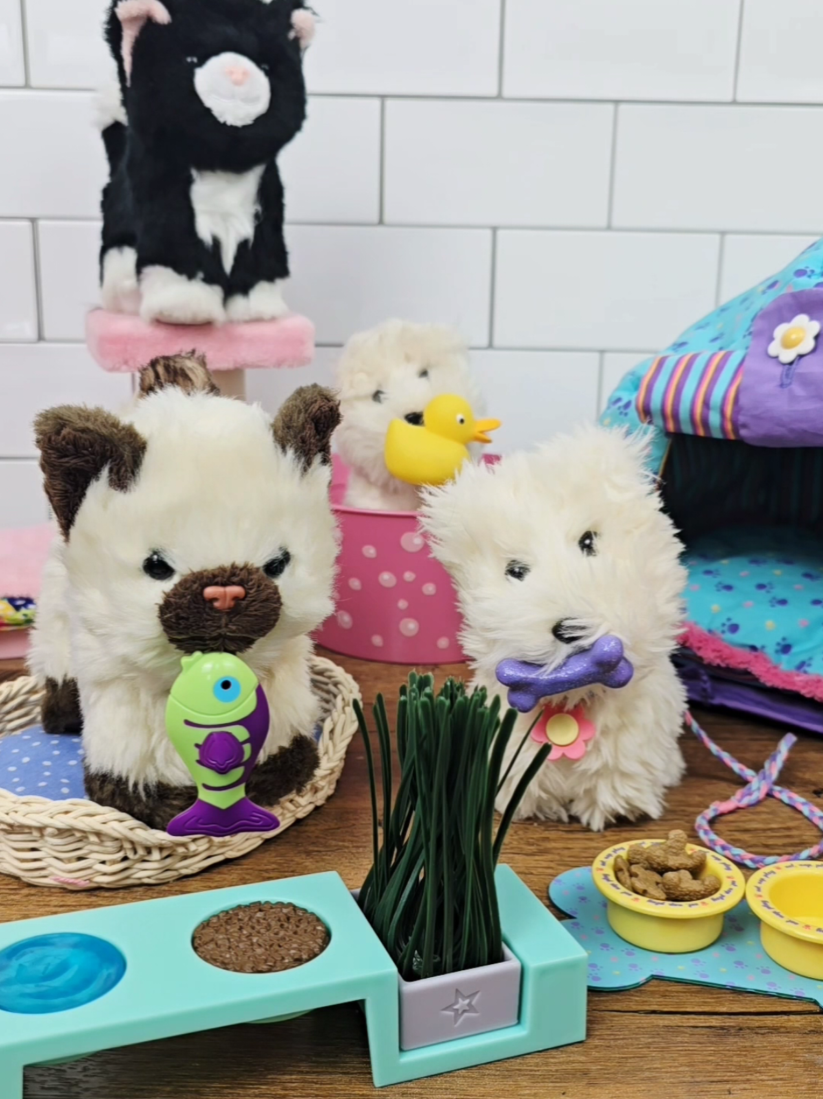A post by @asmrplayroom on TikTok caption: American Girl Pet Sets  #asmr #americangirl #agdoll #mattel #nostalgia 