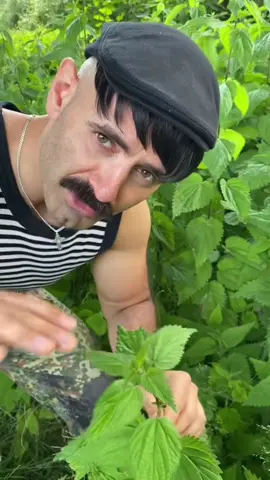 A post by @wostok_style on TikTok caption: Brennnessel 💚👌🏼👨🏻#erinnerung 