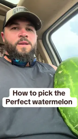 A post by @upcharge101 on TikTok caption: Find the juicy one #watermelon #bluecollar #fruit #health #age #tips #tricks #travel #florida #food #healthy #skincare #diy #concrete #healthcare #upcharge 