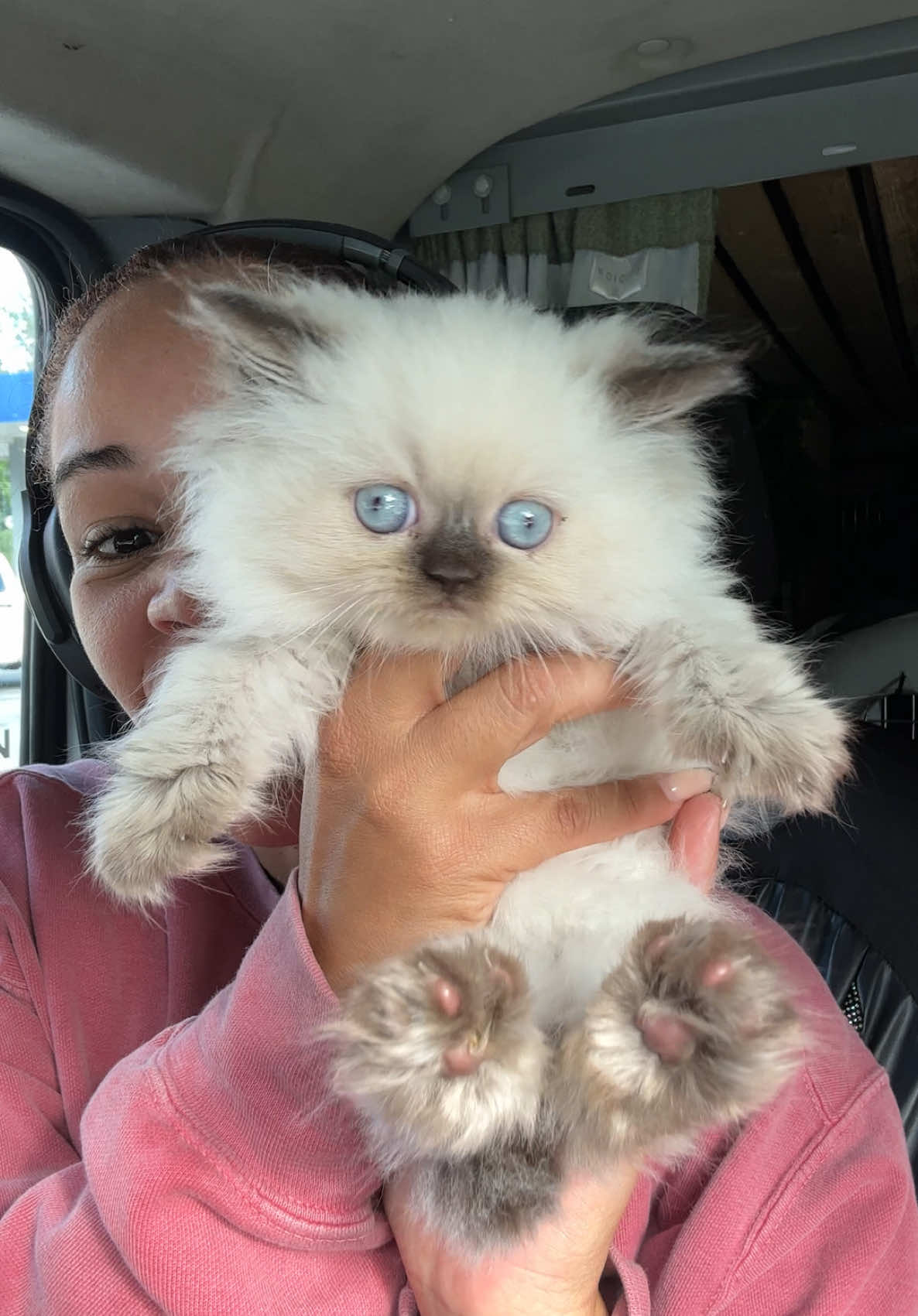 A post by @thereallifesnowwhite on TikTok