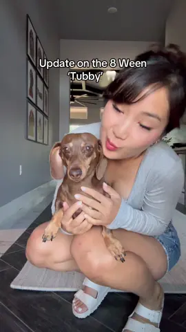 A post by @yunabugs on TikTok caption: Toofless Queen Tubby 🥲