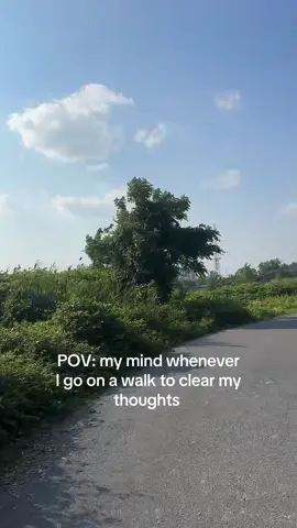 A post by @.tricktales on TikTok caption: #naturewalk 