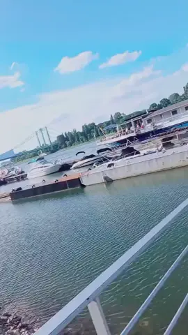 A post by @sevincboncuk1 on TikTok
