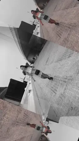 A post by @ginapredoiu635 on TikTok caption: #ahaha #se #uda #gagicile #cand #apare #regele #😂😂😂 #🤣🤣🤣 #🥳🥳 #❤️❤️ #💋 #❤️ #viralditiktok #viralvideos #danimocanu #😘😘😘 #💶 #💴💴 #🙏🙏🙏 #👩‍❤️‍💋‍👨 #🤭 