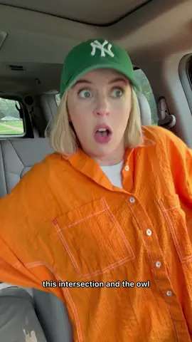 A post by @littledrownedrat on TikTok caption: Don’t even get her started on geese. #storytime 