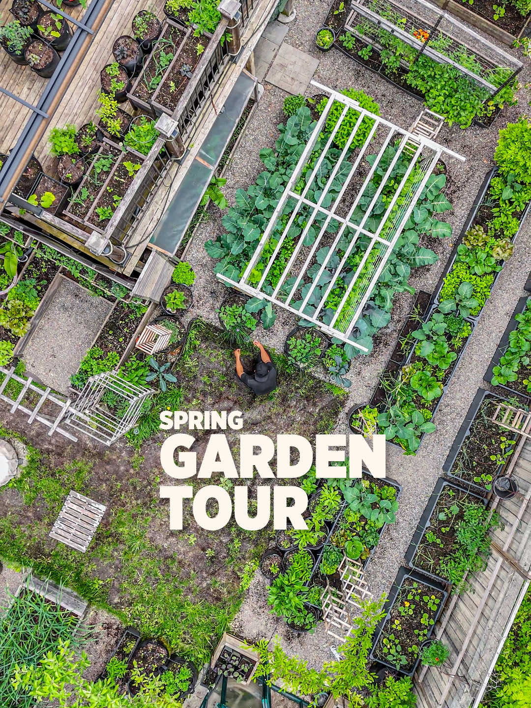 A post by @plantedinthegarden on TikTok caption: What we’re growing in every inch of our 11x13M urban backyard. We encourage you to watch the full video on our YouTube channel, where we go into detail about how we plan and plant. Link in our profile bio💚 #gardentour #urbangarden #gardening #daily #fypシ゚