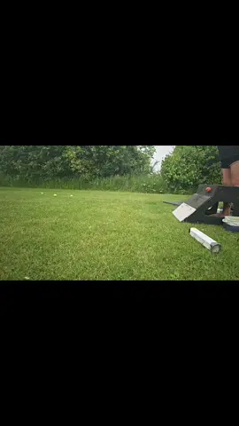 A post by @hollabackbullies on TikTok caption: Na'vi girl getting a little practice in 🥰 #bullterrier #crazy  #flyball #bullterrierlover 