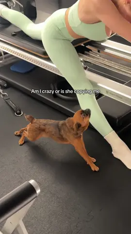 A post by @brookeschofield1 on TikTok