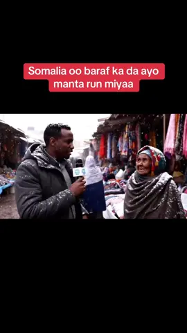 A post by @mudumala80 on TikTok caption: @Somali_sheko  Ninka cilmigan Ibaray waye sida lo sameyo follow dhaha😂😂#somalitiktok #somalitiktok #veo3 #aisomalia