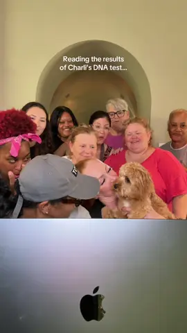A post by @tracieandcheryl on TikTok caption: …and 100% adorable! @Embark Vet 